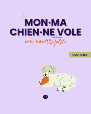 vol nourriture