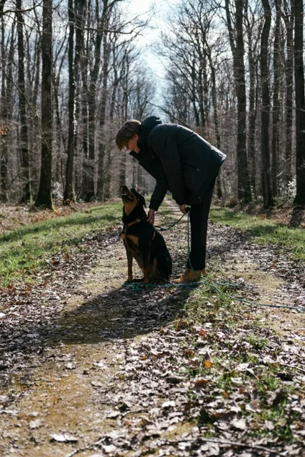 chien qui regarde son humain dans la forêt à Orléans